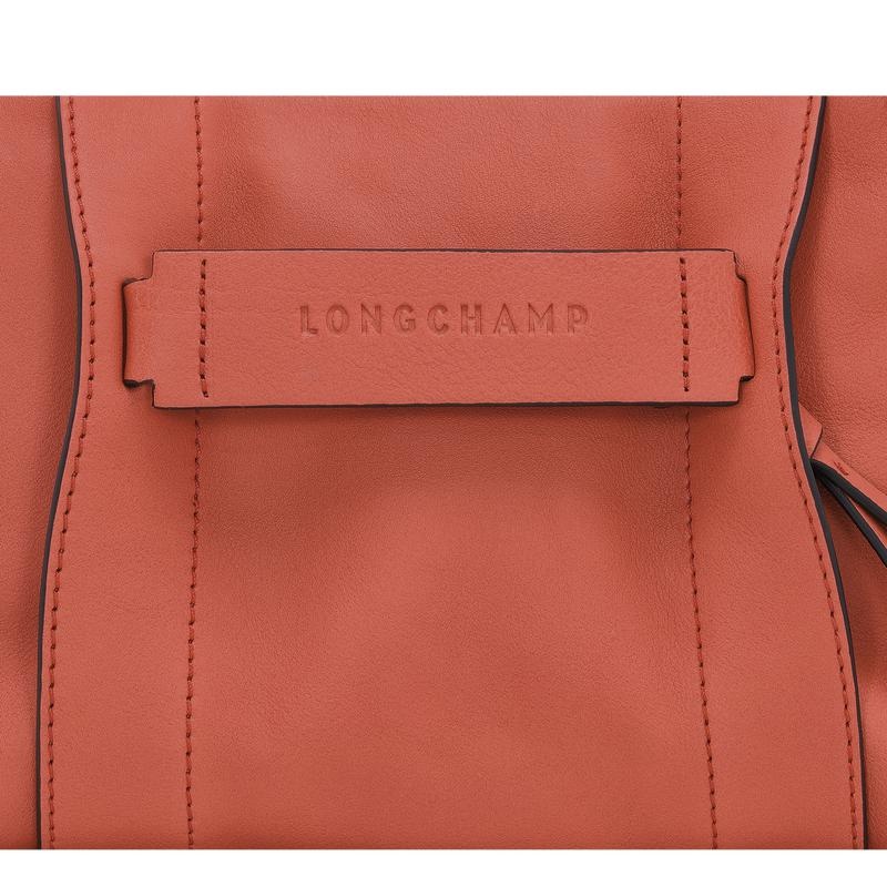 Longchamp 3D S Women's Crossbody Bags Sienna Red | PGK-984360