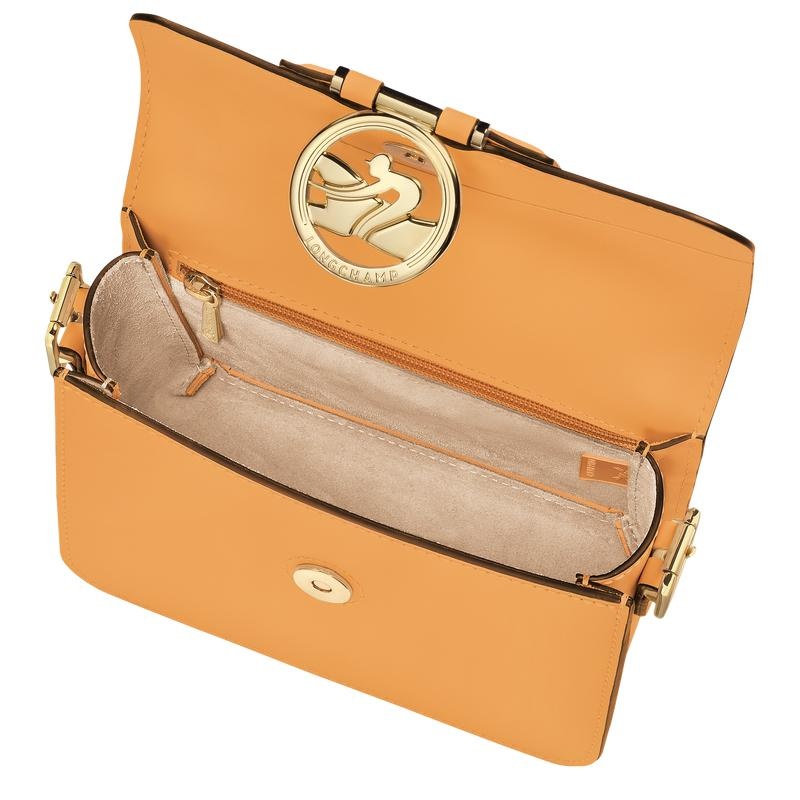 Longchamp Box-Trot S Women's Crossbody Bags Apricot Orange | RBX-725486