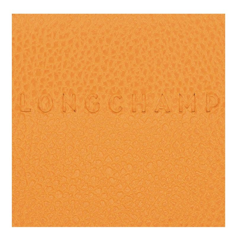 Longchamp Le Foulonné Men's Cardholders Apricot Orange | QDS-063425