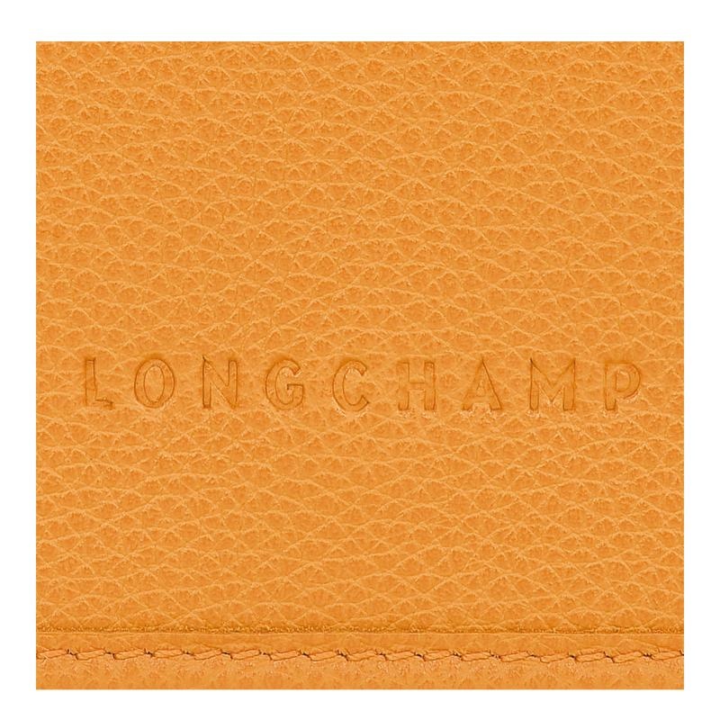 Longchamp Le Foulonné XS Women's Clutch Bag Apricot Orange | BPF-935406